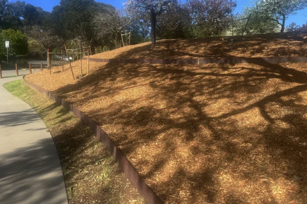 Corten Steel Garden Edging at Wilson Botanic Gardens