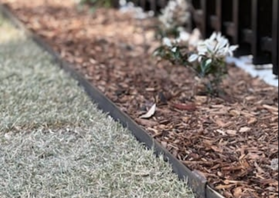 Screenshot 2025-12-01 at 11.29.40 am