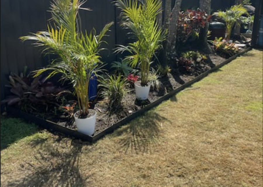 Screenshot 2025-12-01 at 11.30.03 am