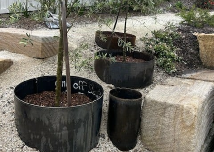 Screenshot 2025-12-01 at 11.30.30 am