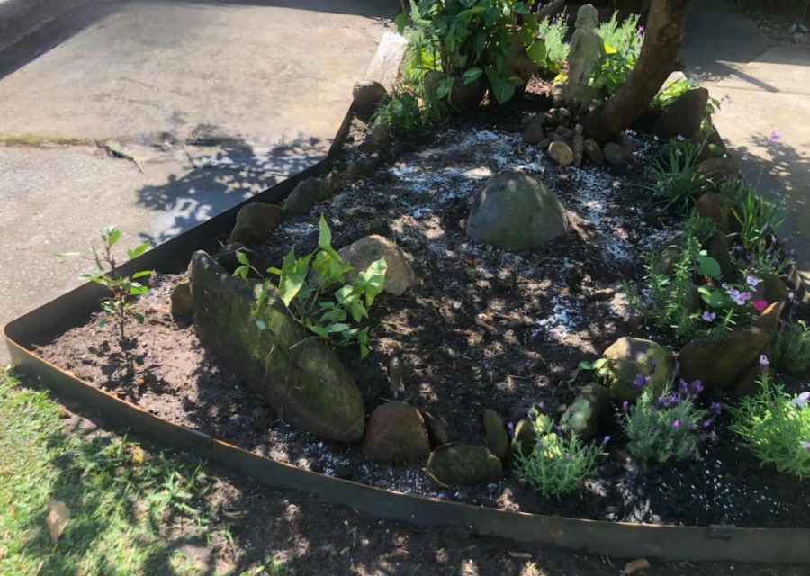 WhatsApp Image 2025-11-28 at 18.10.02