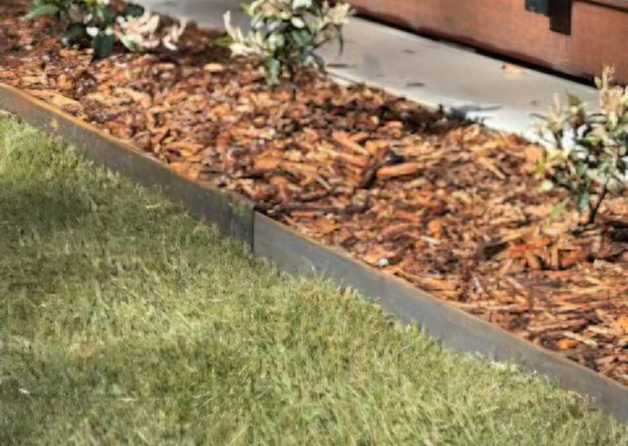 WhatsApp Image 2025-11-28 at 18.10.03